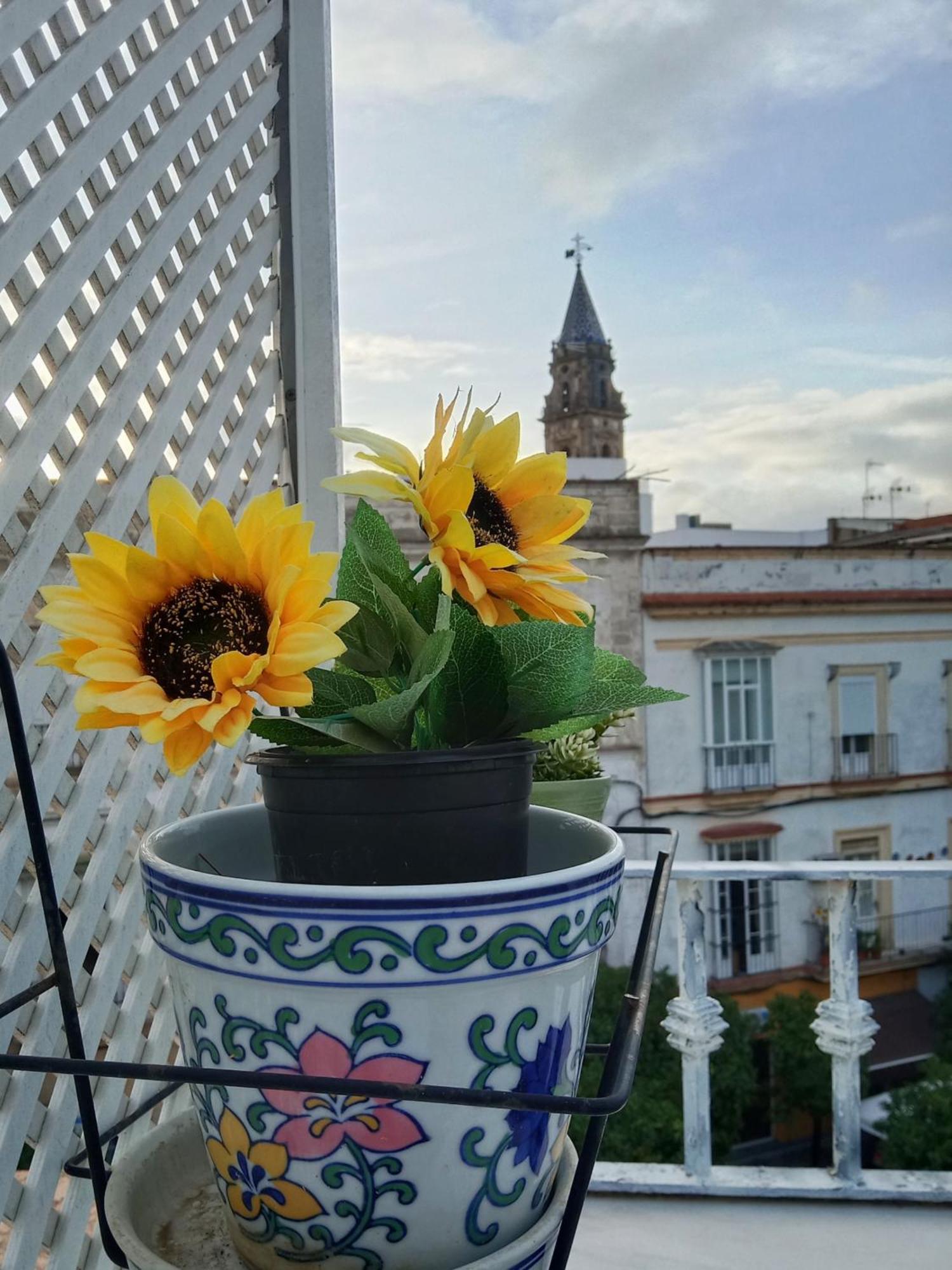 Atico Estudio Plaza Del Arenal - Terraza Con Vistas Appartement *